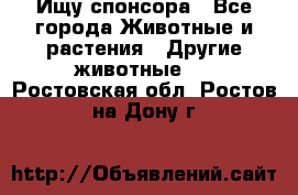 Ищу спонсора - Все города Животные и растения » Другие животные   . Ростовская обл.,Ростов-на-Дону г.